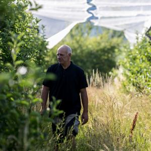 EARL FUITS BIO HAUTES ALPES